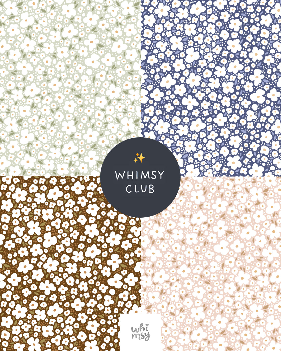 Whimsy club ✨ Membership