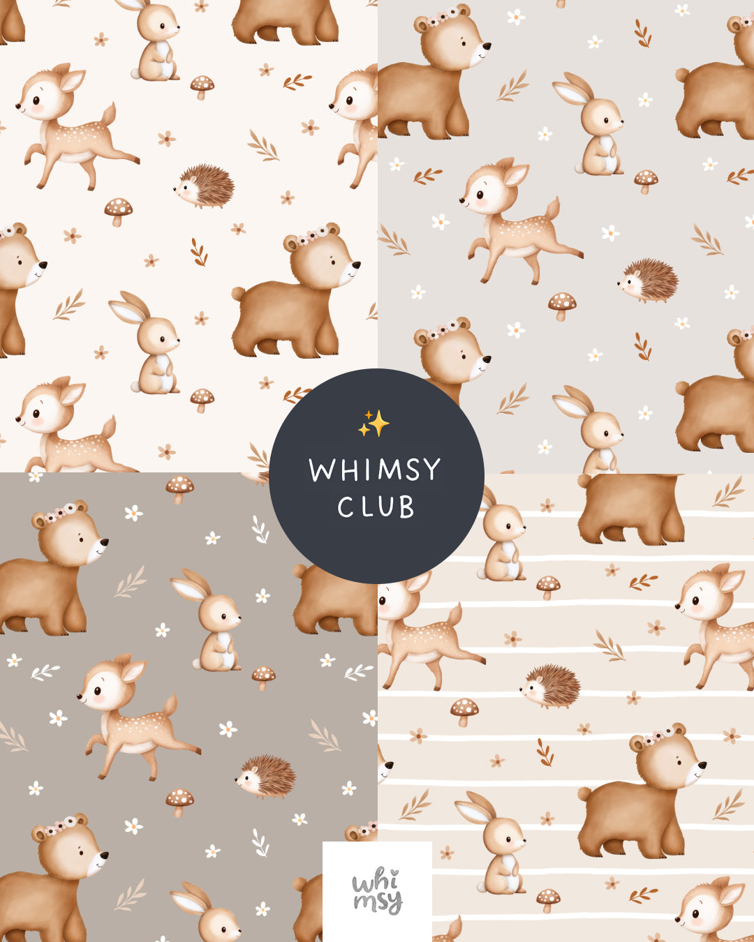 Whimsy club ✨ Membership