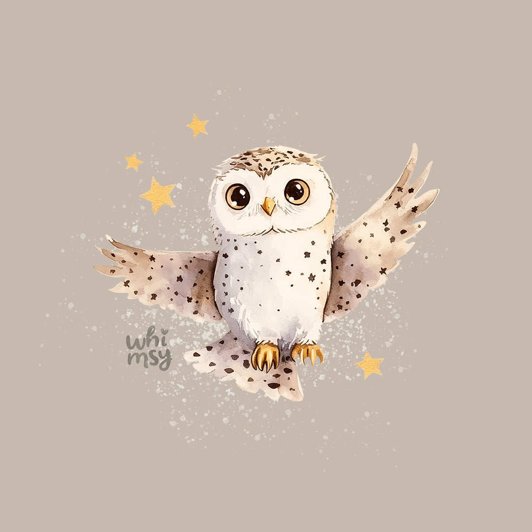 Magic owl PNG clipart set