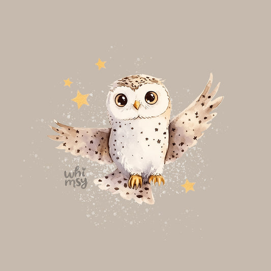 Magic owl PNG clipart set