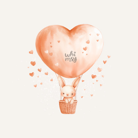 Hot air balloon PNG clipart set