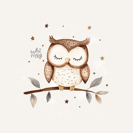 Cute owl PNG clipart set