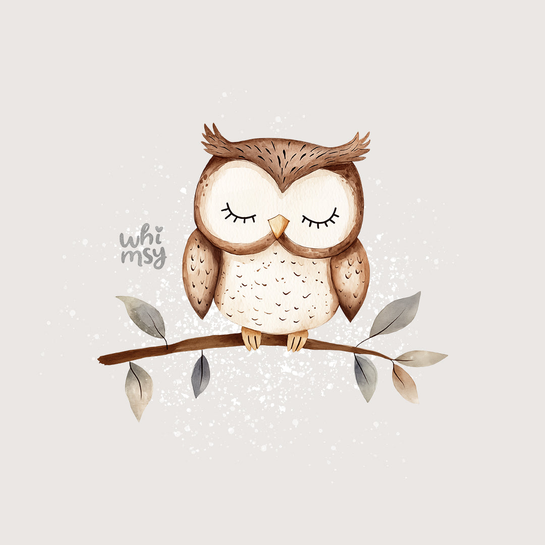 Cute owl PNG clipart set