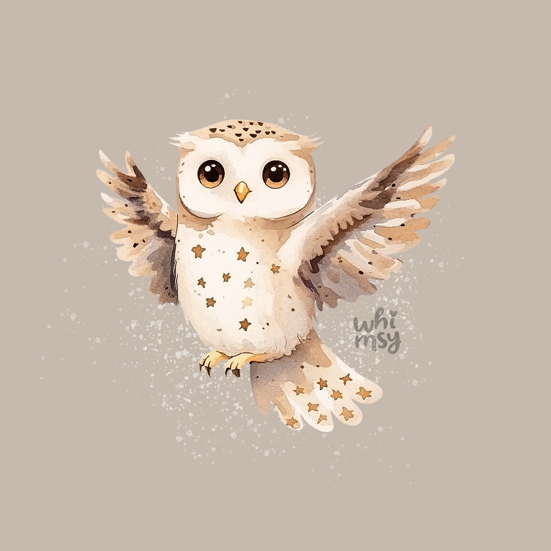 Magic owl PNG clipart set