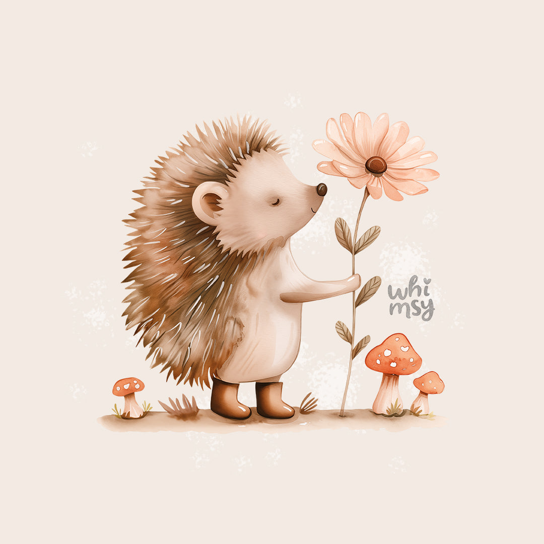 Little hedgehog PNG clipart set