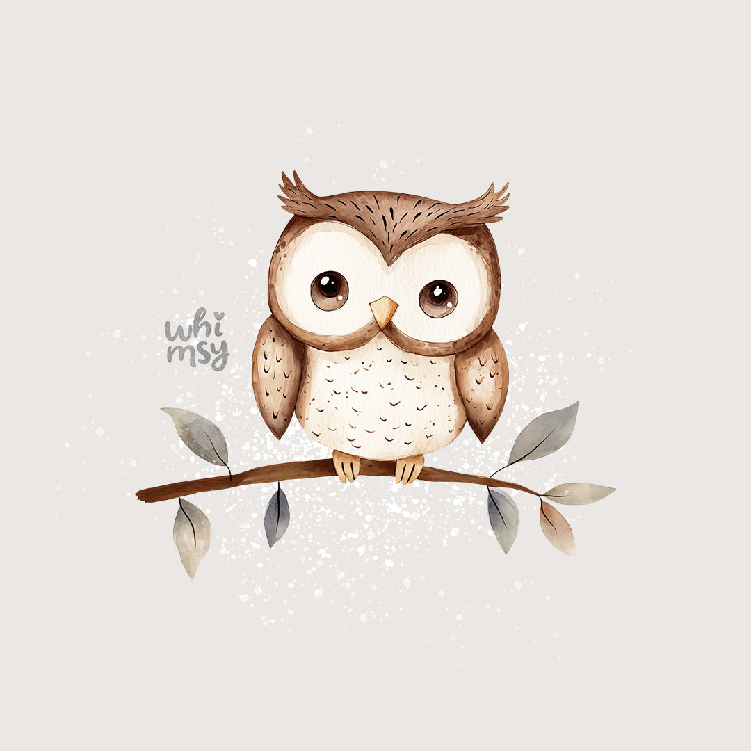 Cute owl PNG clipart set