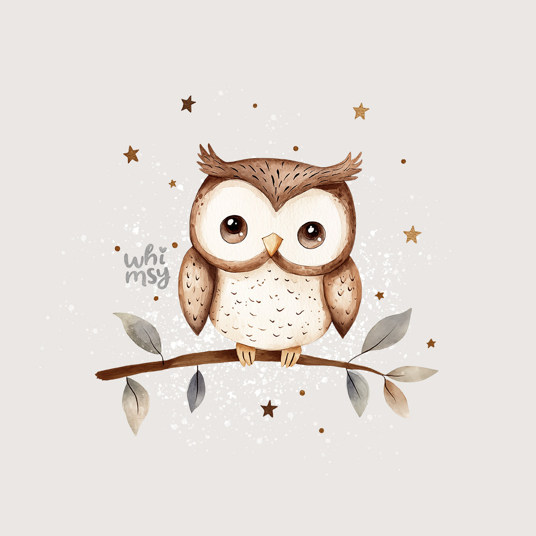 Cute owl PNG clipart set