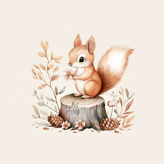 Squirrel PNG clipart